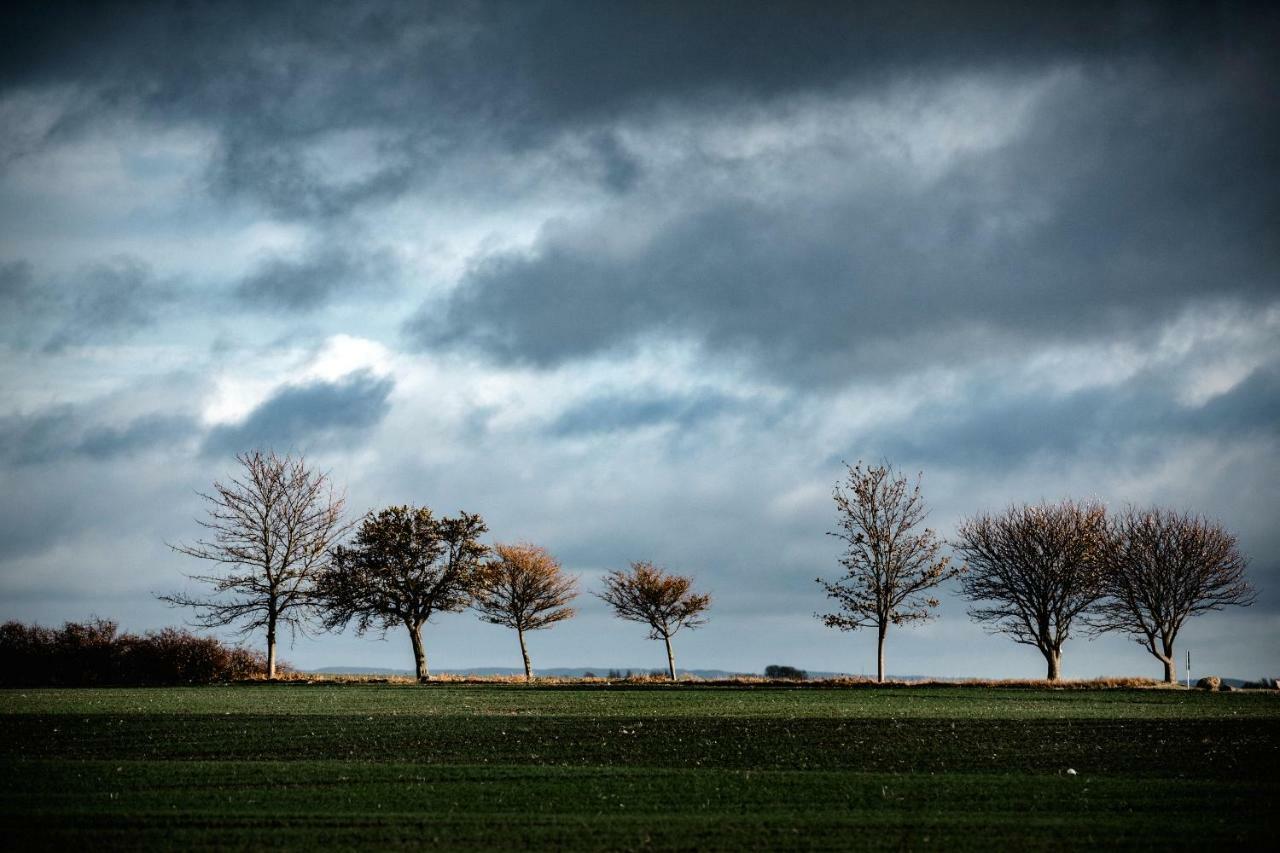 Ferienhaus Nordbrise ดรันส์เคอ ภายนอก รูปภาพ